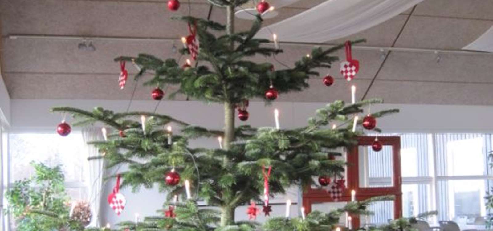 Udklip juletræ til web.JPG